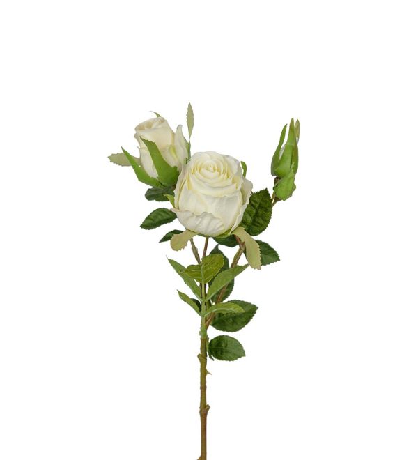 Ros med knoppar Vit 40cm