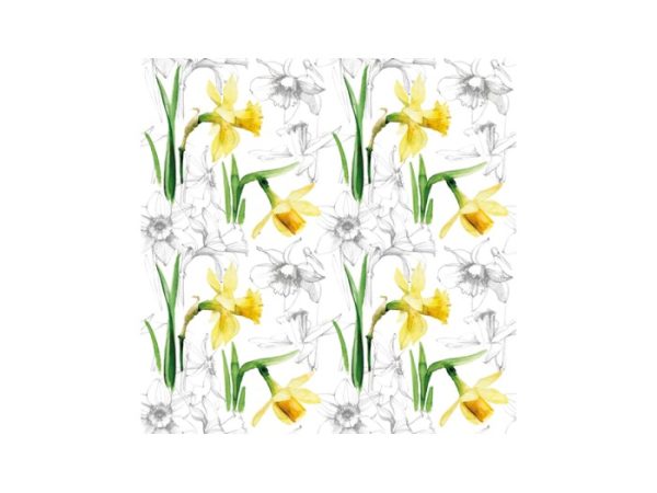 Servett Narcissus