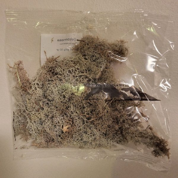 Renlav/Vitmossa Grå Flamsäker 50g