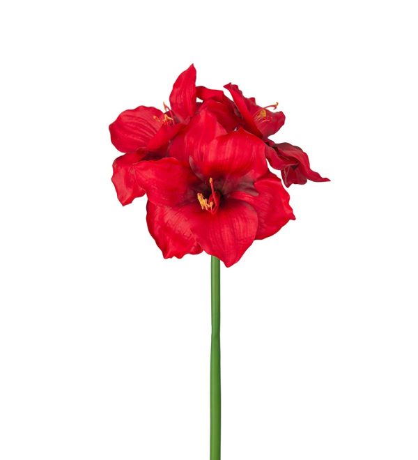 Amaryllis 65cm