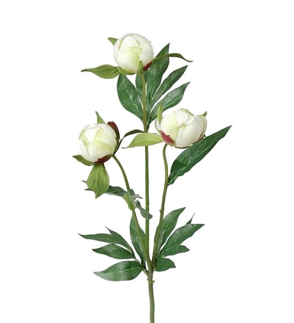 Pion i knopp 45cm