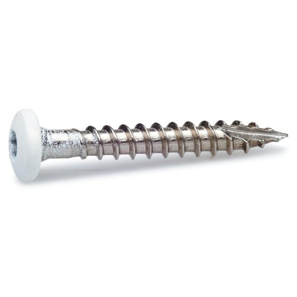 Rännkroksskruv 4,8X25 Vit Brk=100