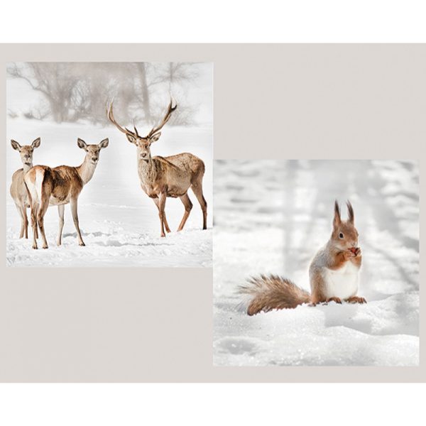 Servett 33x33cm 20-p Forest Animals