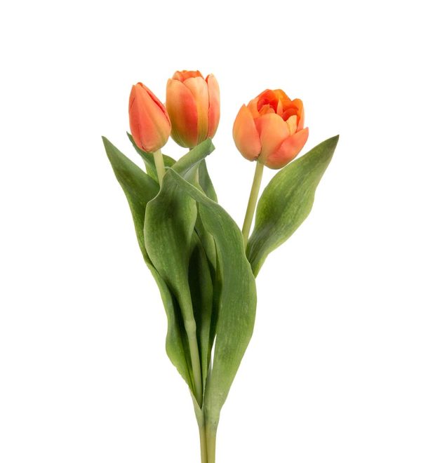 Tulpan Mix Orange 36 cm