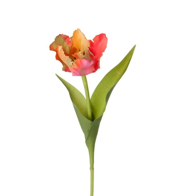 Tulpan 37cm Röd/Orange ton