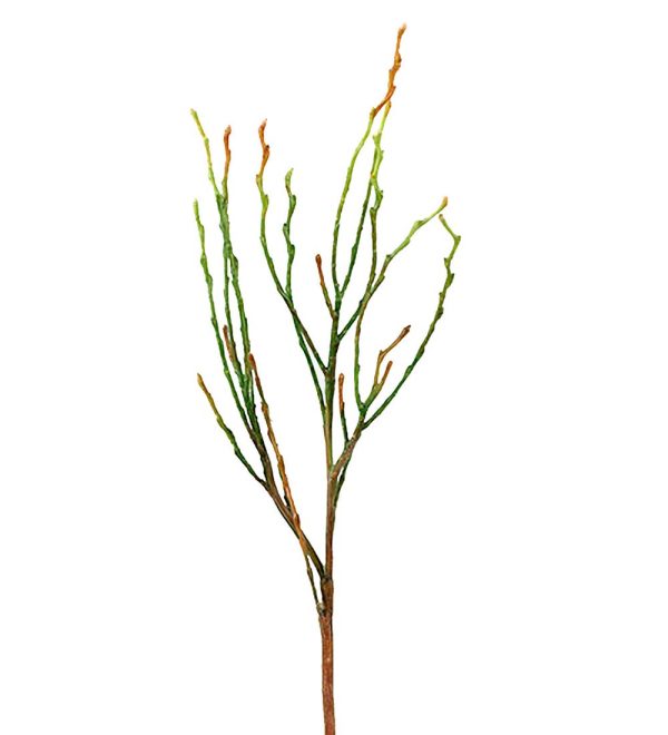 Blåbärsris 35cm