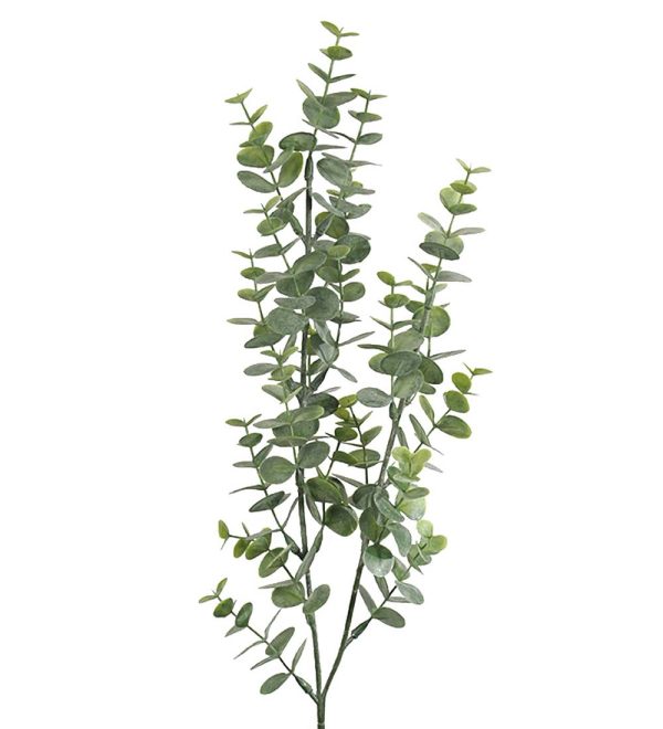 Eucalyptus 74 cm