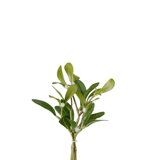 Mistel 18 cm