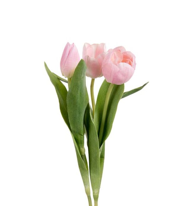 Tulpan Mix Rosa 36 cm